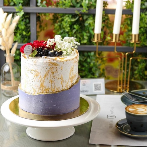 [1700396] نيكد كيك فانيلا بلو بيري (ح)